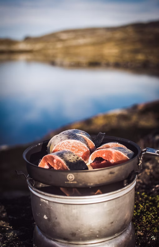 Cooking outdoors with a wood-fuelled stove