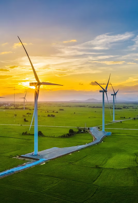 Wind turbines generating renewable energy
